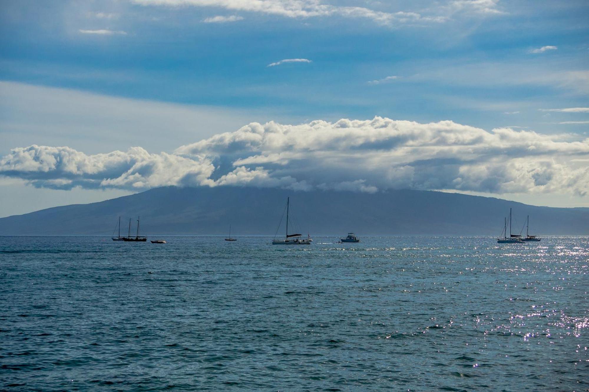 ナピリ・ホノコワイPaki Maui 222アパートメント 部屋 写真