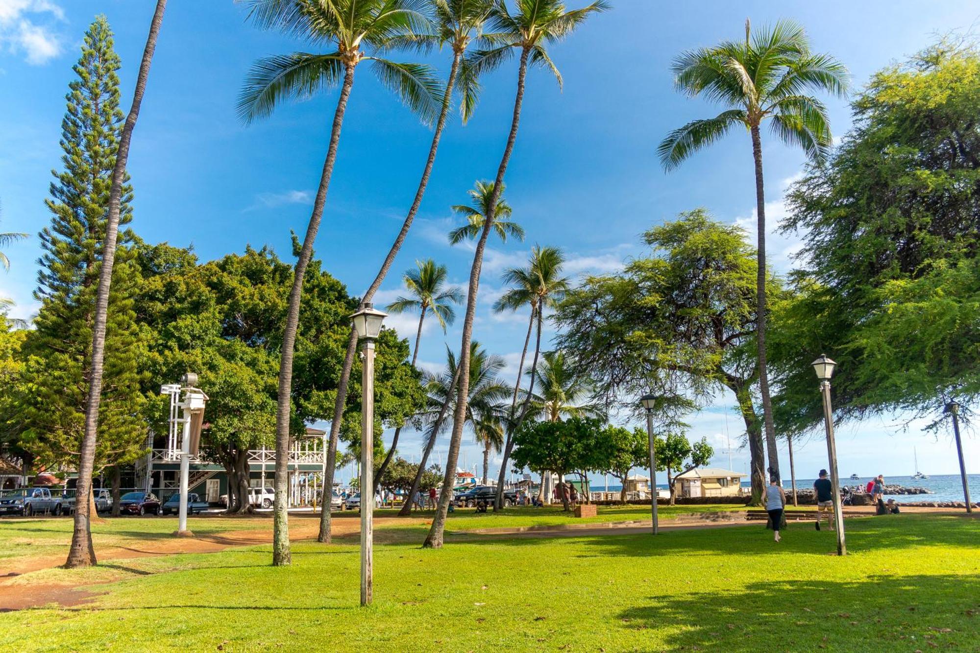 ナピリ・ホノコワイPaki Maui 222アパートメント 部屋 写真